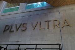 plvs