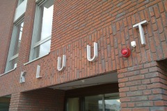 kluut