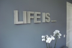 Life-is